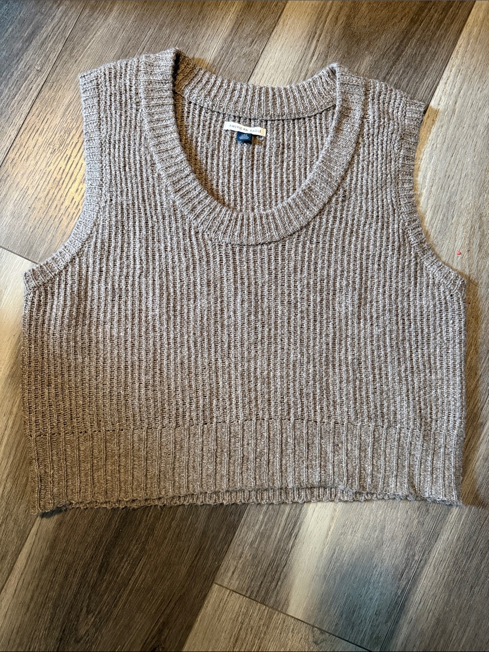 AE Knit Sleeveless Sweater Vest in Brown